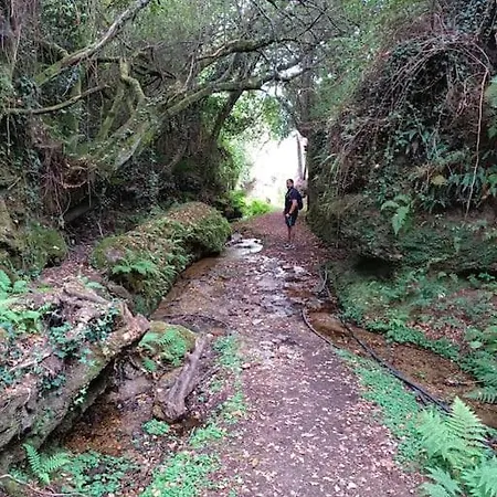 Casa Nova De Senradelas بيت للعطل