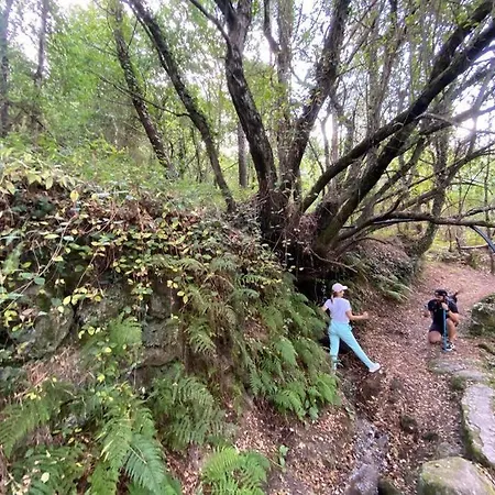 بيت للعطل Casa Nova De Senradelas *